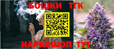 бошки Дубна