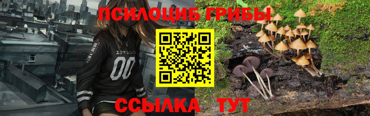 Псилоцибиновые грибы мухоморы Заинск