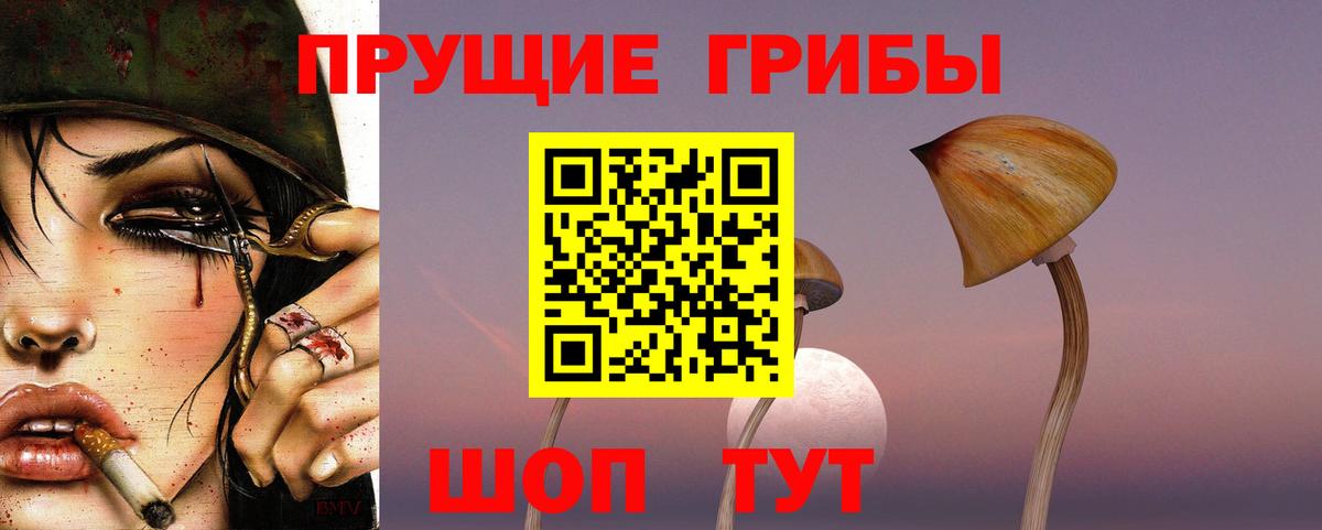 Псилоцибиновые грибы мицелий  Вход с VPN  Заинск  Псилоцибиновые грибы GOLDEN TEACHER 